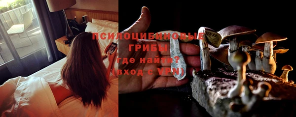 крисы Лабытнанги