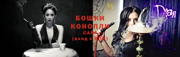 крисы Лабытнанги