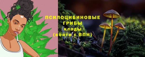 крисы Лабытнанги