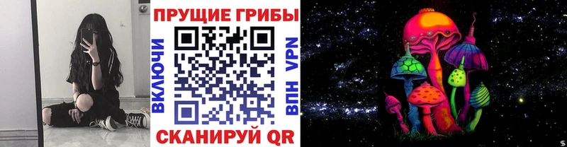 Псилоцибиновые грибы MAGIC MUSHROOMS Белгород