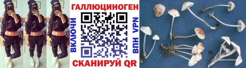 Галлюциногенные грибы Psilocybe  Купить где  Белгород 